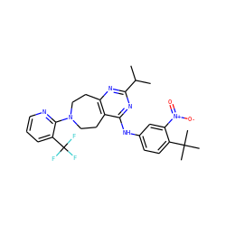 CC(C)c1nc2c(c(Nc3ccc(C(C)(C)C)c([N+](=O)[O-])c3)n1)CCN(c1ncccc1C(F)(F)F)CC2 ZINC000148511699