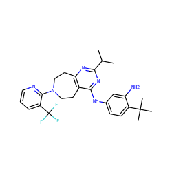 CC(C)c1nc2c(c(Nc3ccc(C(C)(C)C)c(N)c3)n1)CCN(c1ncccc1C(F)(F)F)CC2 ZINC000144996447