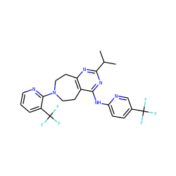 CC(C)c1nc2c(c(Nc3ccc(C(F)(F)F)cn3)n1)CCN(c1ncccc1C(F)(F)F)CC2 ZINC000064559309