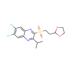 CC(C)c1nc2cc(Cl)c(Cl)cc2nc1S(=O)(=O)CCC1OCCO1 ZINC000028950897