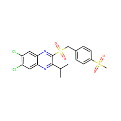 CC(C)c1nc2cc(Cl)c(Cl)cc2nc1S(=O)(=O)Cc1ccc(S(C)(=O)=O)cc1 ZINC000028950901