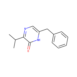 CC(C)c1ncc(Cc2ccccc2)[nH]c1=O ZINC000000018551