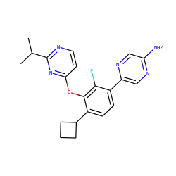 CC(C)c1nccc(Oc2c(C3CCC3)ccc(-c3cnc(N)cn3)c2F)n1 ZINC000212159427