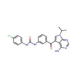 CC(C)n1cc(C(=O)c2cccc(NC(=O)Nc3ccc(Cl)cc3)c2)c2c(N)ncnc21 ZINC000038429336