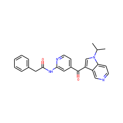 CC(C)n1cc(C(=O)c2ccnc(NC(=O)Cc3ccccc3)c2)c2cnccc21 ZINC001772571715