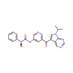 CC(C)n1cc(C(=O)c2cncc(NC(=O)[C@@H](O)c3ccccc3)c2)c2cncnc21 ZINC000169708028
