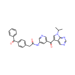 CC(C)n1cc(C(=O)c2cncc(NC(=O)Cc3ccc(C(=O)c4ccccc4)cc3)c2)c2cncnc21 ZINC000169707843