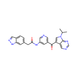 CC(C)n1cc(C(=O)c2cncc(NC(=O)Cc3ccc4cn[nH]c4c3)c2)c2cncnc21 ZINC000221753649
