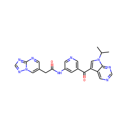 CC(C)n1cc(C(=O)c2cncc(NC(=O)Cc3cnc4ncnn4c3)c2)c2cncnc21 ZINC000169707916