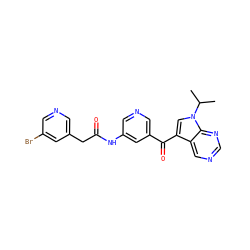 CC(C)n1cc(C(=O)c2cncc(NC(=O)Cc3cncc(Br)c3)c2)c2cncnc21 ZINC000169707706