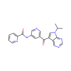 CC(C)n1cc(C(=O)c2cncc(NC(=O)c3ccccn3)c2)c2cncnc21 ZINC000169707955