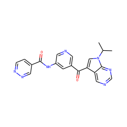 CC(C)n1cc(C(=O)c2cncc(NC(=O)c3ccnnc3)c2)c2cncnc21 ZINC000169708022