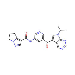 CC(C)n1cc(C(=O)c2cncc(NC(=O)c3cnn4c3CCC4)c2)c2cncnc21 ZINC000169707992