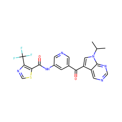 CC(C)n1cc(C(=O)c2cncc(NC(=O)c3scnc3C(F)(F)F)c2)c2cncnc21 ZINC000169707935