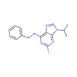CC(C)n1cnc2c(NCc3ccccc3)nc(I)nc21 ZINC000013834614