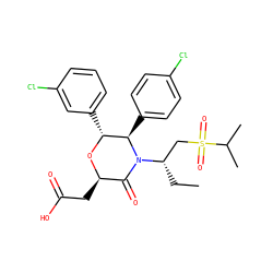 CC[C@@H](CS(=O)(=O)C(C)C)N1C(=O)[C@@H](CC(=O)O)O[C@H](c2cccc(Cl)c2)[C@H]1c1ccc(Cl)cc1 ZINC000169307587