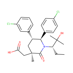 CC[C@H](N1C(=O)[C@@](C)(CC(=O)O)C[C@H](c2cccc(Cl)c2)[C@H]1c1ccc(Cl)cc1)C(C)(C)O ZINC000103248036