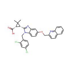 CC1(C)[C@@H](C(=O)O)[C@H]1c1nc2cc(OCc3ccc4ccccc4n3)ccc2n1Cc1ccc(Cl)cc1Cl ZINC000226101175