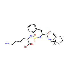 CC1(C)[C@@H]2CC[C@@]1(C)[C@@H](NC(=O)[C@H](Cc1ccccc1)NS(=O)(=O)N[C@@H](CCCCN)C(=O)O)C2 ZINC000168295847