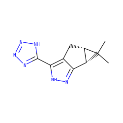 CC1(C)[C@H]2Cc3c(n[nH]c3-c3nnn[nH]3)[C@H]21 ZINC000034632933