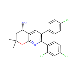 CC1(C)C[C@H](N)c2cc(-c3ccc(Cl)cc3)c(-c3ccc(Cl)cc3Cl)nc2O1 ZINC000049035100