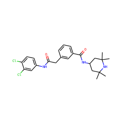 CC1(C)CC(NC(=O)c2cccc(CC(=O)Nc3ccc(Cl)c(Cl)c3)c2)CC(C)(C)N1 ZINC000027561451