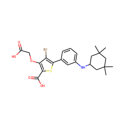 CC1(C)CC(Nc2cccc(-c3sc(C(=O)O)c(OCC(=O)O)c3Br)c2)CC(C)(C)C1 ZINC000016052430