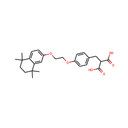 CC1(C)CCC(C)(C)c2cc(OCCOc3ccc(CC(C(=O)O)C(=O)O)cc3)ccc21 ZINC000027095206