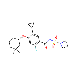 CC1(C)CCC[C@H](Oc2cc(F)c(C(=O)NS(=O)(=O)N3CCC3)cc2C2CC2)C1 ZINC000216259374