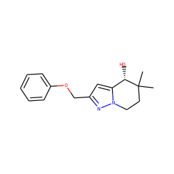 CC1(C)CCn2nc(COc3ccccc3)cc2[C@@H]1O ZINC000299837188