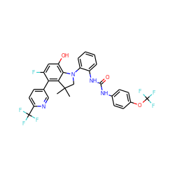 CC1(C)CN(c2ccccc2NC(=O)Nc2ccc(OC(F)(F)F)cc2)c2c(O)cc(F)c(-c3ccc(C(F)(F)F)nc3)c21 ZINC000220379639
