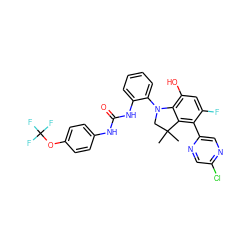 CC1(C)CN(c2ccccc2NC(=O)Nc2ccc(OC(F)(F)F)cc2)c2c(O)cc(F)c(-c3cnc(Cl)cn3)c21 ZINC000299827266