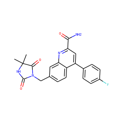 CC1(C)NC(=O)N(Cc2ccc3c(-c4ccc(F)cc4)cc(C(N)=O)nc3c2)C1=O ZINC000205667294