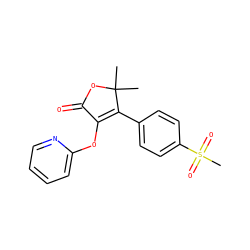 CC1(C)OC(=O)C(Oc2ccccn2)=C1c1ccc(S(C)(=O)=O)cc1 ZINC000026935374