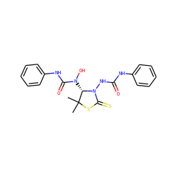 CC1(C)SC(=S)N(NC(=O)Nc2ccccc2)[C@H]1N(O)C(=O)Nc1ccccc1 ZINC000008397327