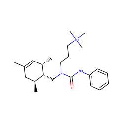 CC1=C[C@H](C)[C@H](CN(CCC[N+](C)(C)C)C(=O)Nc2ccccc2)[C@@H](C)C1 ZINC000001745802