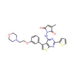 CC1=CC(=O)N(Nc2nc(-c3cccs3)nc3scc(-c4cccc(OCCN5CCOCC5)c4)c23)C1=O ZINC000138500385