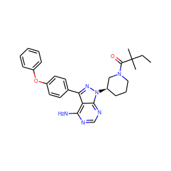 CCC(C)(C)C(=O)N1CCC[C@@H](n2nc(-c3ccc(Oc4ccccc4)cc3)c3c(N)ncnc32)C1 ZINC000653780519
