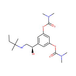 CCC(C)(C)NC[C@H](O)c1cc(OC(=O)N(C)C)cc(OC(=O)N(C)C)c1 ZINC001772620598