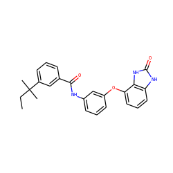 CCC(C)(C)c1cccc(C(=O)Nc2cccc(Oc3cccc4[nH]c(=O)[nH]c34)c2)c1 ZINC000045370948