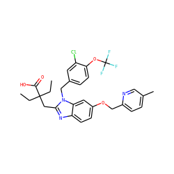 CCC(CC)(Cc1nc2ccc(OCc3ccc(C)cn3)cc2n1Cc1ccc(OC(F)(F)F)c(Cl)c1)C(=O)O ZINC000218176028