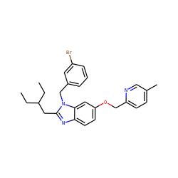 CCC(CC)Cc1nc2ccc(OCc3ccc(C)cn3)cc2n1Cc1cccc(Br)c1 ZINC000221567652
