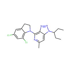 CCC(CC)n1nnc2c(N3CCc4cc(Cl)cc(Cl)c43)nc(C)cc21 ZINC000029404553