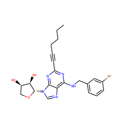 CCCCC#Cc1nc(NCc2cccc(Br)c2)c2ncn([C@@H]3OC[C@@H](O)[C@H]3O)c2n1 ZINC000084564482