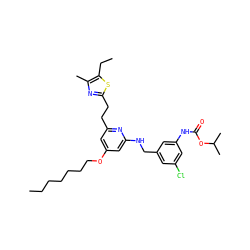 CCCCCCCOc1cc(CCc2nc(C)c(CC)s2)nc(NCc2cc(Cl)cc(NC(=O)OC(C)C)c2)c1 ZINC000036351439