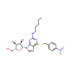 CCCCCNc1nc(SCc2ccc([N+](=O)[O-])cc2)c2ncn([C@@H]3O[C@H](CO)[C@@H](O)[C@H]3O)c2n1 ZINC000028875744