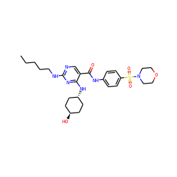 CCCCCNc1ncc(C(=O)Nc2ccc(S(=O)(=O)N3CCOCC3)cc2)c(N[C@H]2CC[C@H](O)CC2)n1 ZINC000261108245