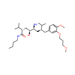 CCCCNC(=O)[C@@H](C[C@H](O)[C@@H](N)C[C@H](Cc1ccc(OC)c(OCCCOC)c1)C(C)C)C(C)C ZINC000004393140
