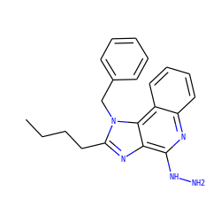 CCCCc1nc2c(NN)nc3ccccc3c2n1Cc1ccccc1 ZINC000049037306