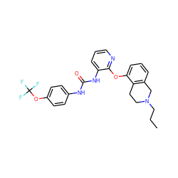 CCCN1CCc2c(cccc2Oc2ncccc2NC(=O)Nc2ccc(OC(F)(F)F)cc2)C1 ZINC000103239068